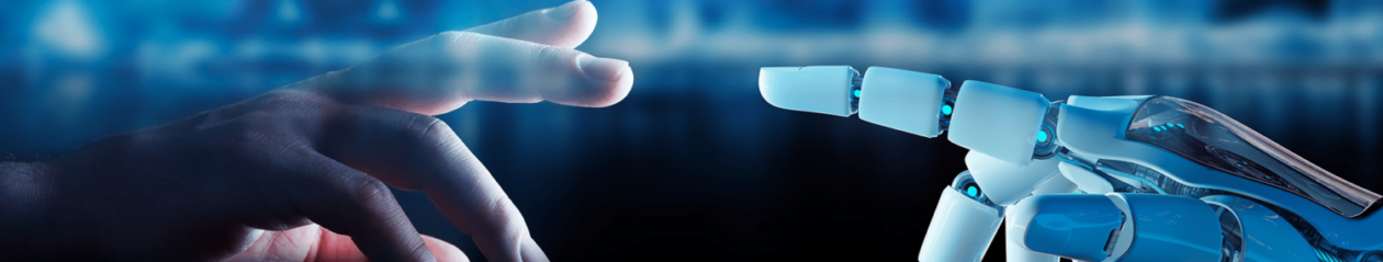 RSU Sedico Logistica